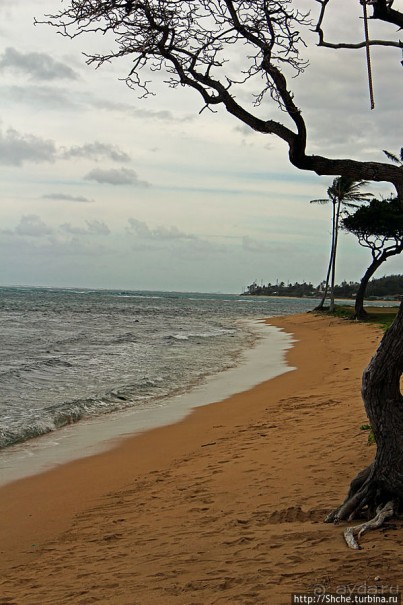 Восточное побережье острова Оаху — царство гольфа и рыбалки