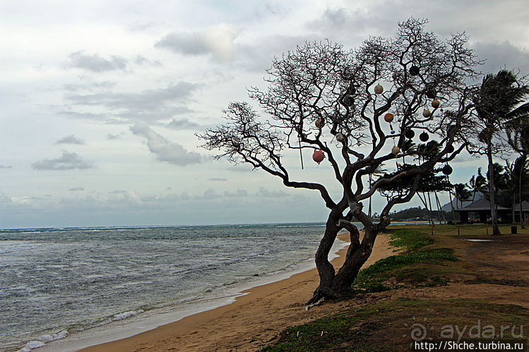 Восточное побережье острова Оаху — царство гольфа и рыбалки