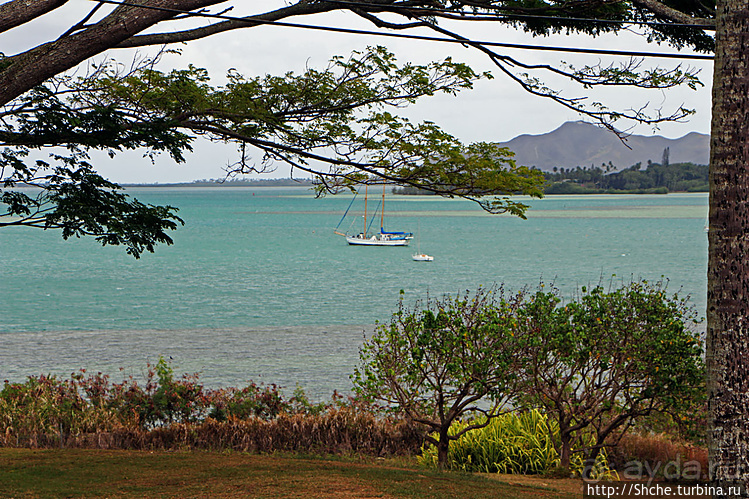 Восточное побережье острова Оаху — царство гольфа и рыбалки