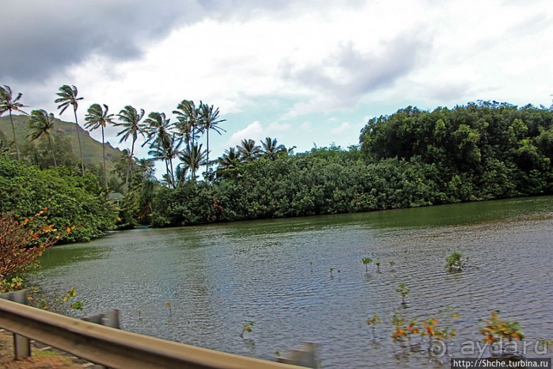 Восточное побережье острова Оаху — царство гольфа и рыбалки
