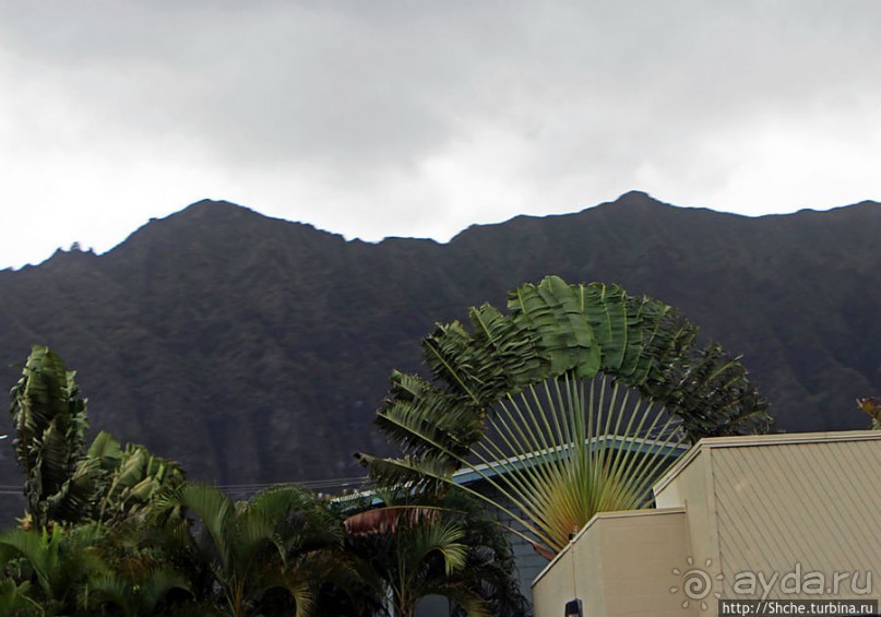 Восточное побережье острова Оаху — царство гольфа и рыбалки