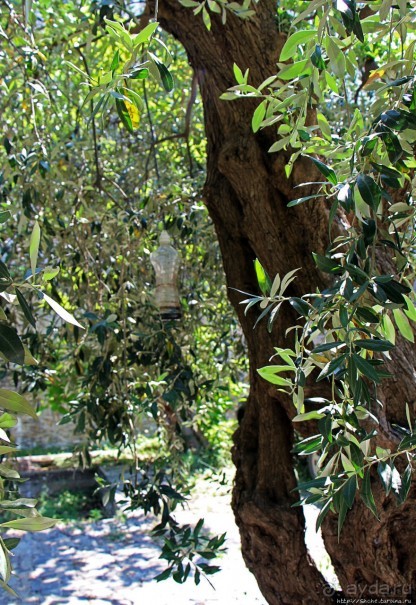 Паломничество на Афон. Монастырь Ватопед