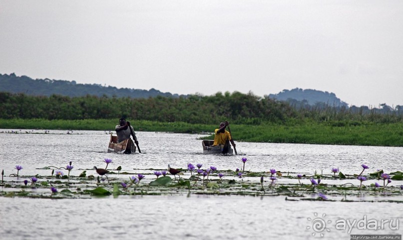 Каждый кулик свое болото хвалит