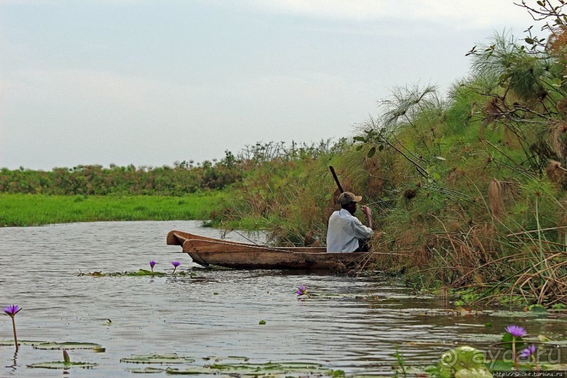 Каждый кулик свое болото хвалит