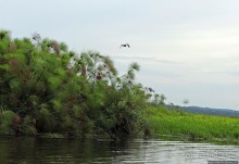 Каждый кулик свое болото хвалит
