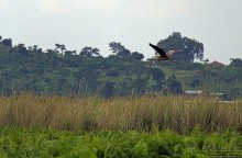 Каждый кулик свое болото хвалит