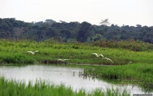 Каждый кулик свое болото хвалит
