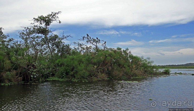 Каждый кулик свое болото хвалит