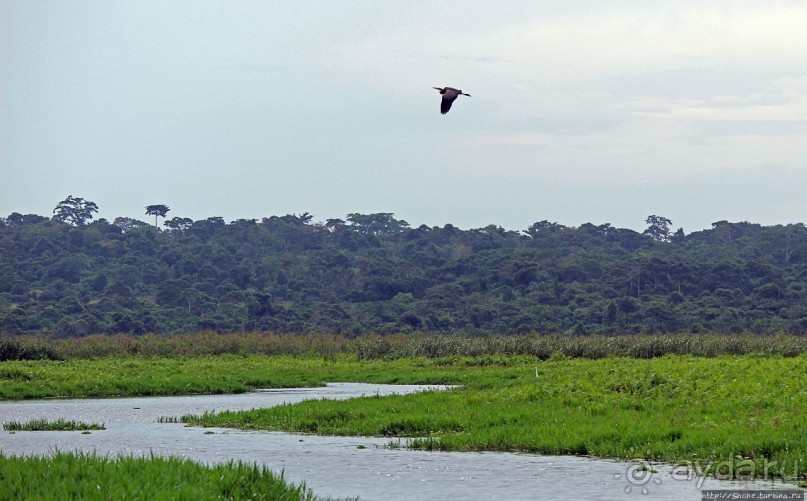 Каждый кулик свое болото хвалит