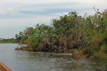 Каждый кулик свое болото хвалит