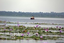 Каждый кулик свое болото хвалит