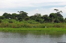 Каждый кулик свое болото хвалит