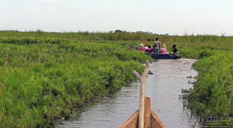 Каждый кулик свое болото хвалит