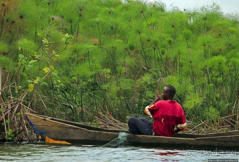 Каждый кулик свое болото хвалит