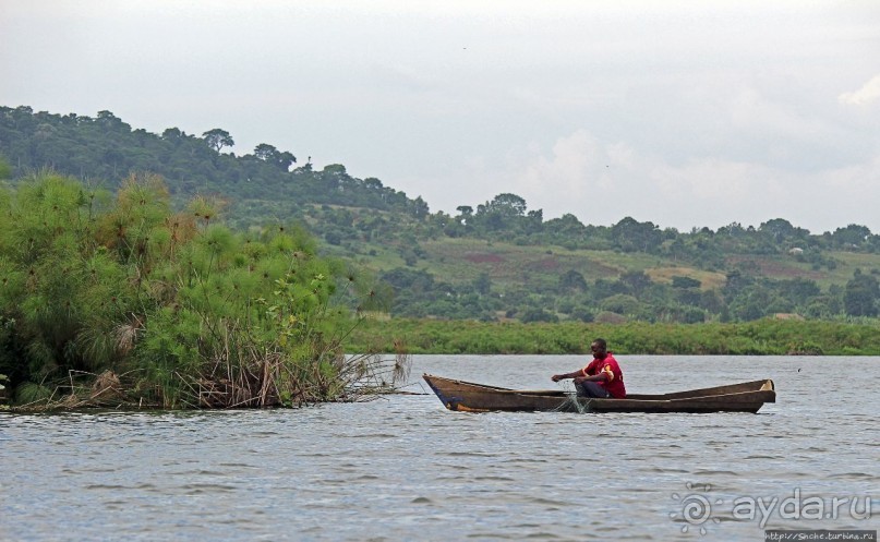 Каждый кулик свое болото хвалит
