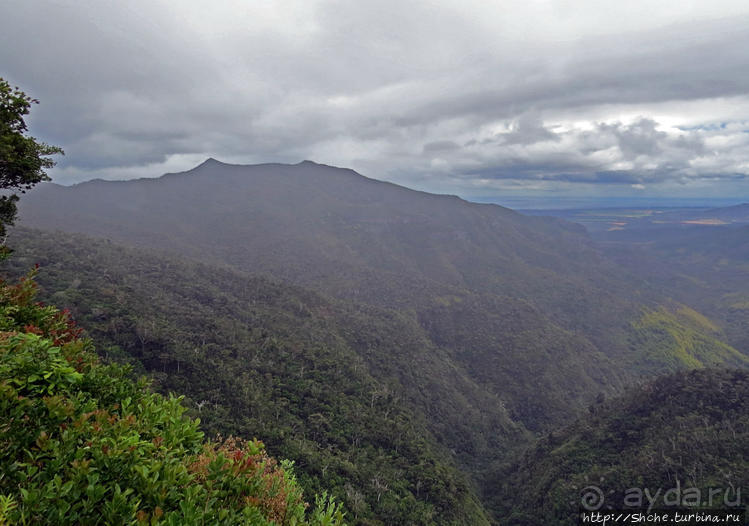 Каньон Черной реки