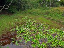 Каньон Черной реки