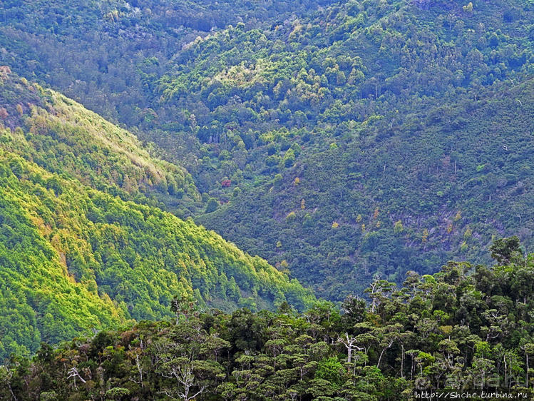 Каньон Черной реки