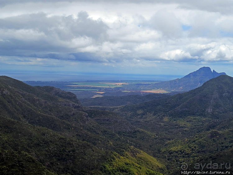Каньон Черной реки