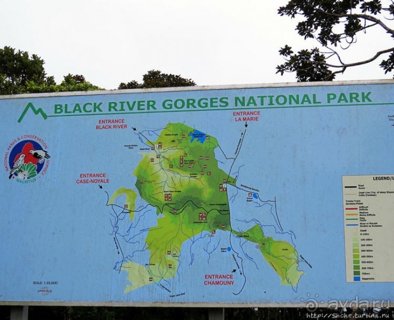 Каньон Черной реки