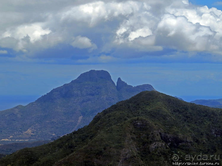Каньон Черной реки
