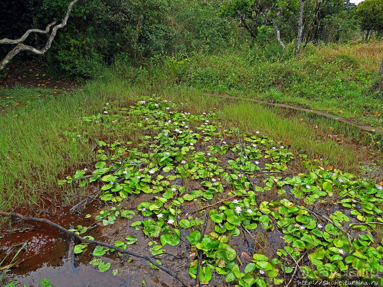 Каньон Черной реки