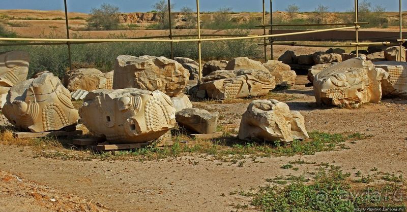 Легендарные Сузы и что осталось от дворца Дария