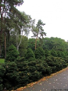 "Парк Советского периода" — Экспоцентр Украины (ВДНХ)