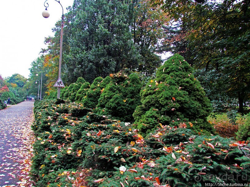 "Парк Советского периода" — Экспоцентр Украины (ВДНХ)