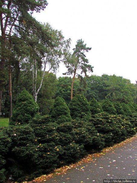 "Парк Советского периода" — Экспоцентр Украины (ВДНХ)