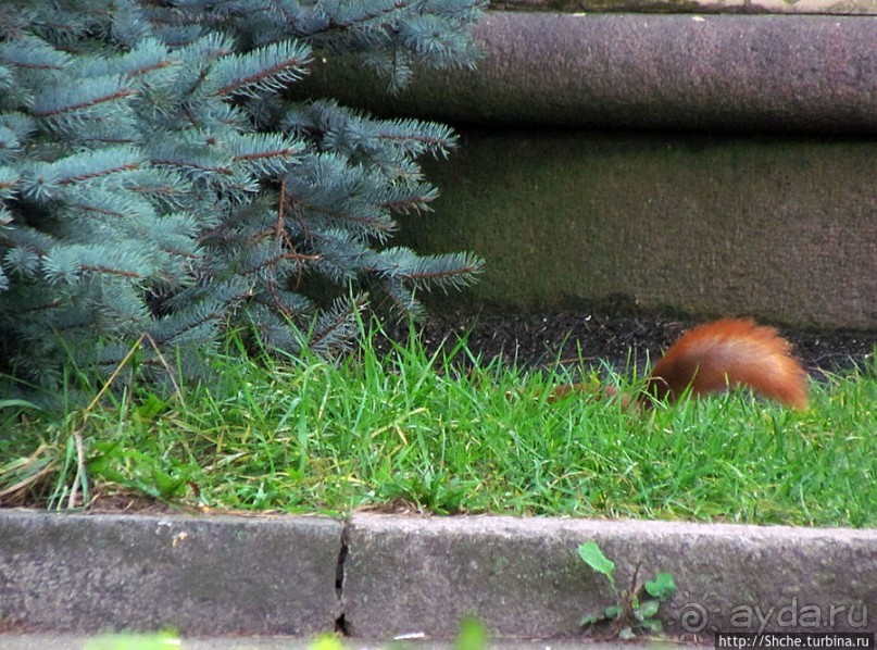 "Парк Советского периода" — Экспоцентр Украины (ВДНХ)