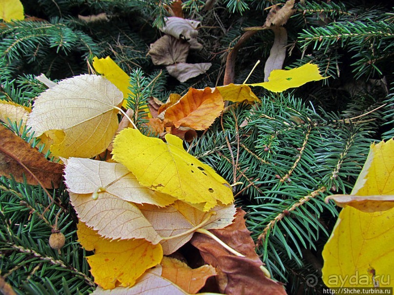 "Парк Советского периода" — Экспоцентр Украины (ВДНХ)