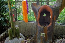 Лурдское святилище на Сайпане и его чудеса