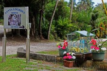 Лурдское святилище на Сайпане и его чудеса