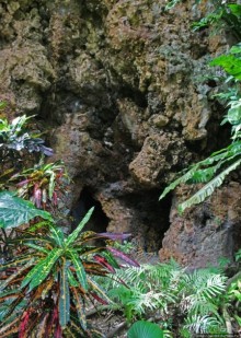 Лурдское святилище на Сайпане и его чудеса