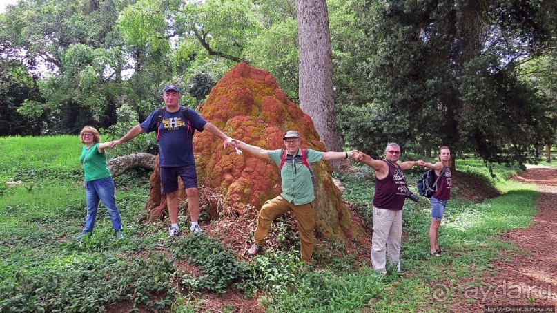 Обитатели Ботанического сада в Этеббе. Флора Обитатели Ботанического сада в Этеббе. Флора