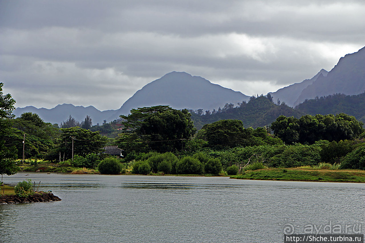 "Хули-хули" — это очень вкусно. Обед на берегу в Кахалуу