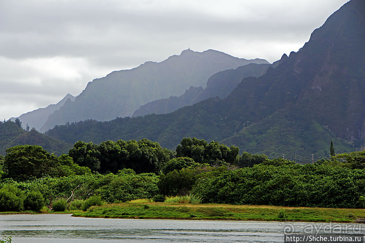 "Хули-хули" — это очень вкусно. Обед на берегу в Кахалуу