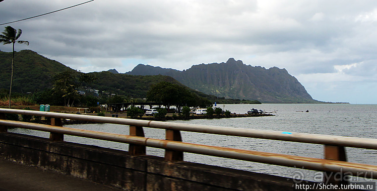 "Хули-хули" — это очень вкусно. Обед на берегу в Кахалуу