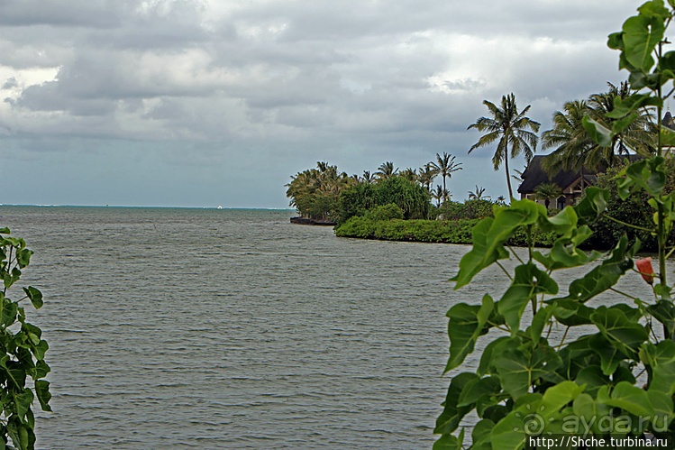 "Хули-хули" — это очень вкусно. Обед на берегу в Кахалуу