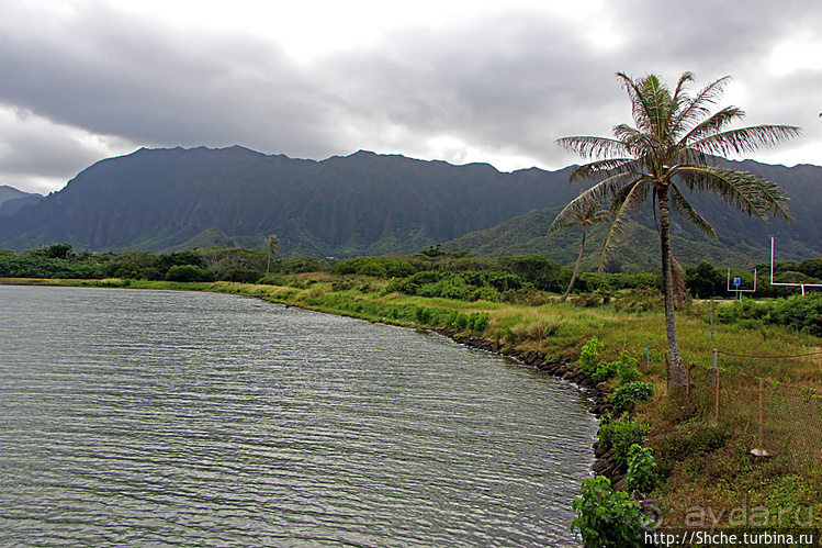"Хули-хули" — это очень вкусно. Обед на берегу в Кахалуу