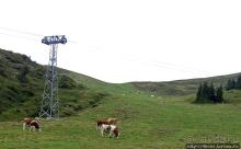 Что за станция такая?