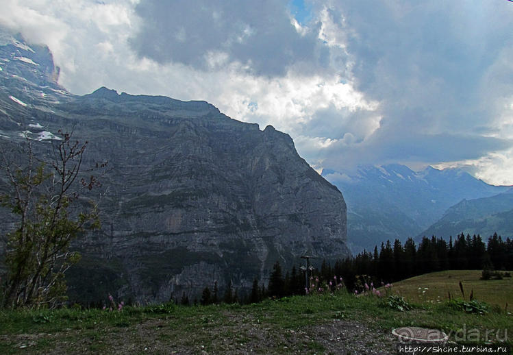 Что за станция такая?