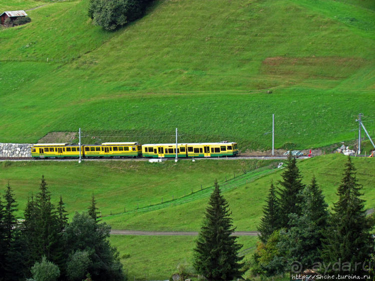 Что за станция такая?