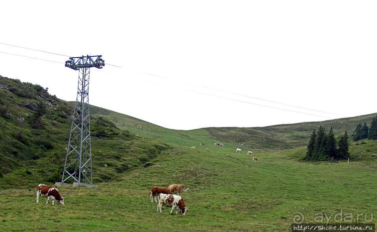 Что за станция такая?