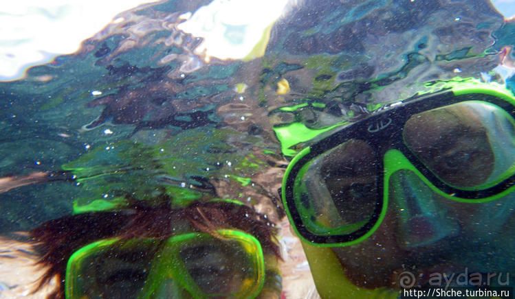 Галапагосы, о Санта Фе. Этап 3 — Купание с морскими львами