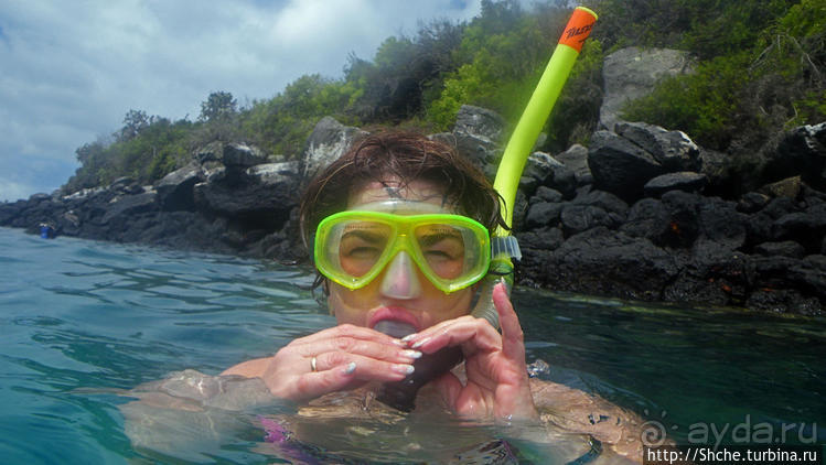 Галапагосы, о Санта Фе. Этап 3 — Купание с морскими львами