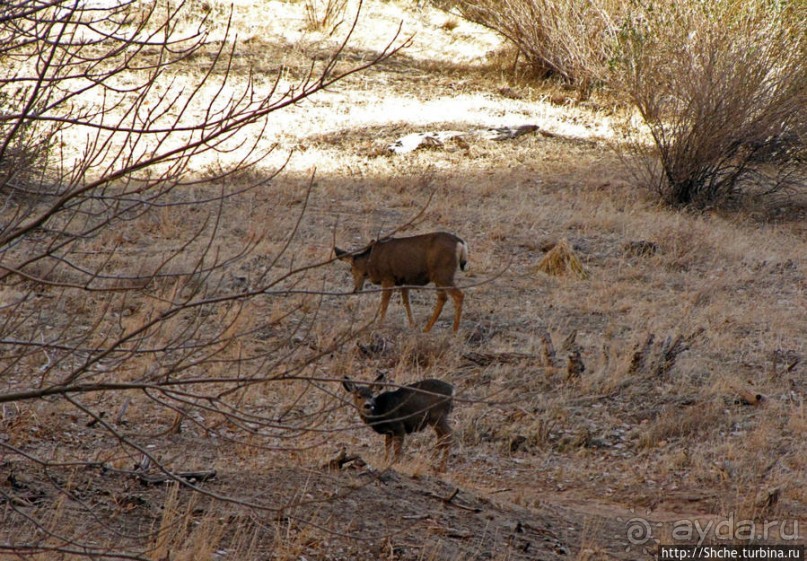 фото Маунтин Виллидж
