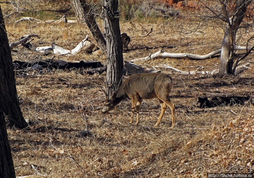 фото Маунтин Виллидж