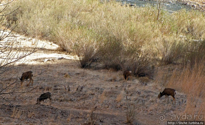 фото Маунтин Виллидж